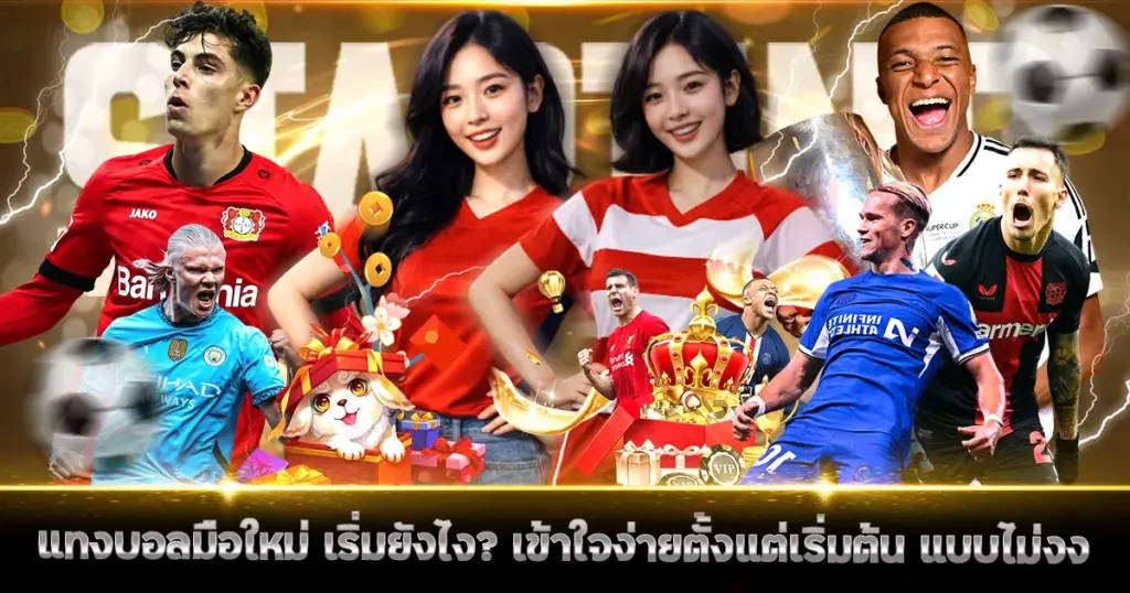 แทงบอลมือใหม่